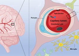 This Hidden Symptom Could Be a Sign of Long COVID Mental Strain