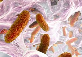 Why You Might Want to Reconsider That Routine Antibiotic
