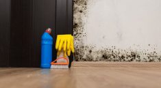 The Surprising Link Between Indoor Mold and Long COVID