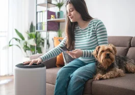 Indoor Pollution: Symptoms You Should Know